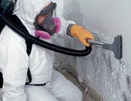 Mold Removal for HVAC Installations in Hicksville, NY